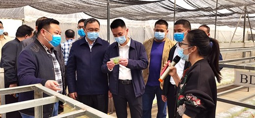 自治區(qū)發(fā)展改革委定點幫扶都安縣駐村工作隊赴南寧市、百色市開展鄉(xiāng)村振興調(diào)研