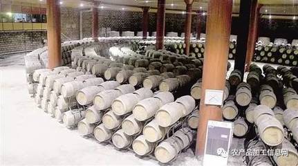 昌黎葡萄酒:從“第一瓶”到全產(chǎn)業(yè)鏈