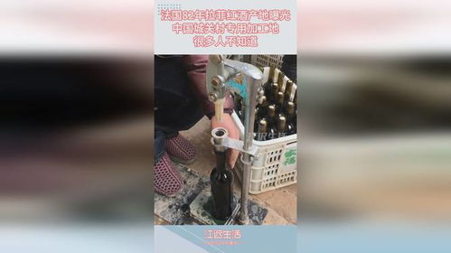 法國(guó)82年拉菲紅酒的神秘產(chǎn)地：中國(guó)城關(guān)村加工地鮮為人知的葡萄酒加工內(nèi)幕